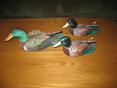 Wooden Ducks, View more