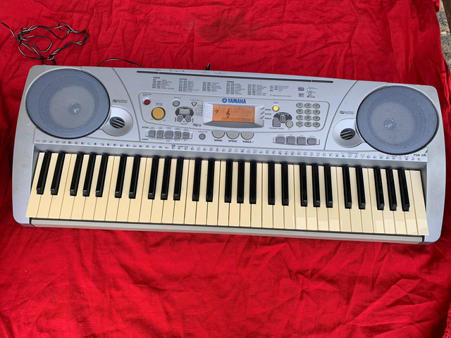 Piano/Keyboard lessons (Play-by-Ear)(No experience necessary)