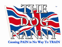 Dog Training Courses - Puppy to Advanced Obedience