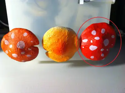 This ads shows 3 variants of large mushroom for Smurf village and is selling the one circled in RED....