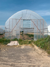 25’ x 60’ Greenhouse Cold Frame