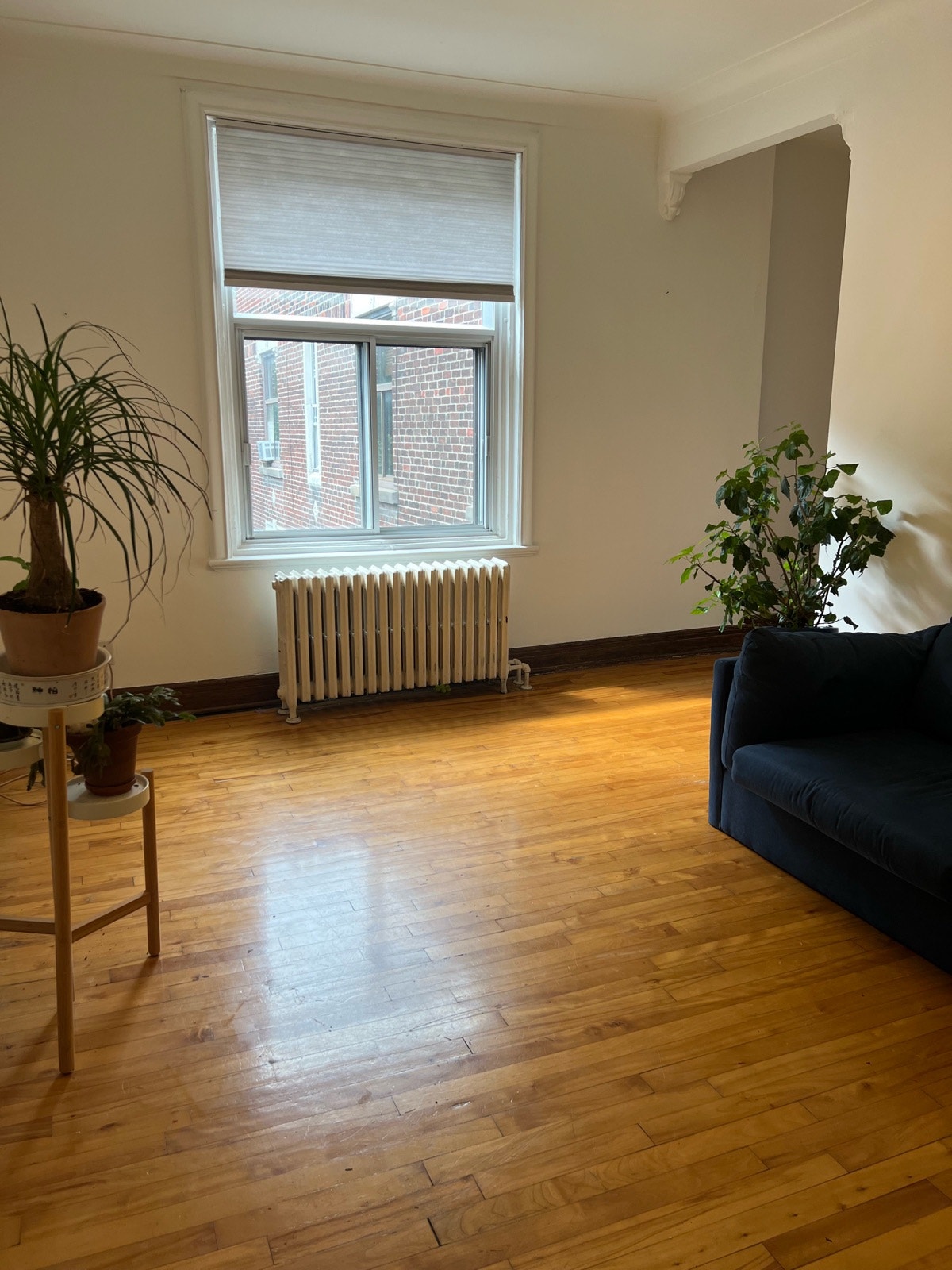 2019 Av de Marlowe — photo 1