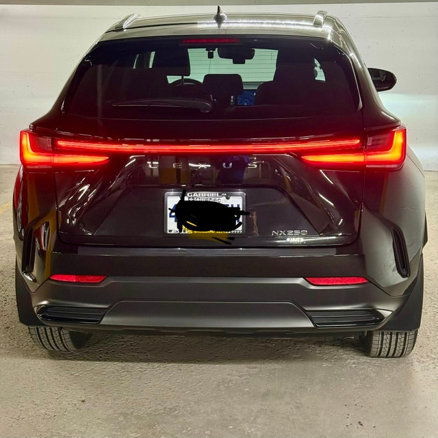 Brilliant Lexus 2023 NX 250 AWD — photo 4