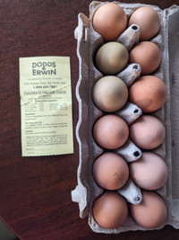 Organic eggs $8