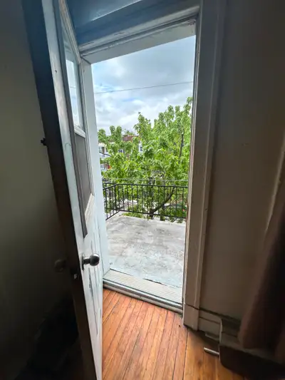 3 1/2 Montréal ( Homa )
