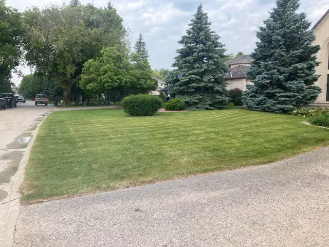 $100* Power Raking | $40* Lawn mowing63234884030723124