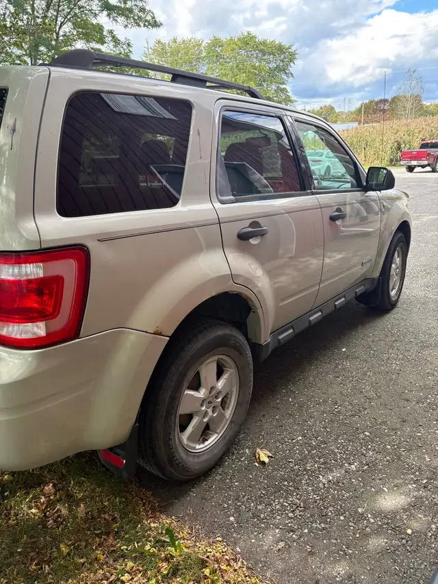 2008 ford escape605486010954557443