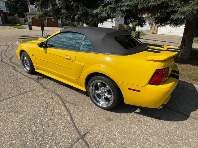 2004 Ford Mustang GT  in Classic Cars in Strathcona County - Image 2