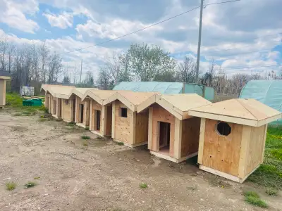 outdoor doghouse, View more