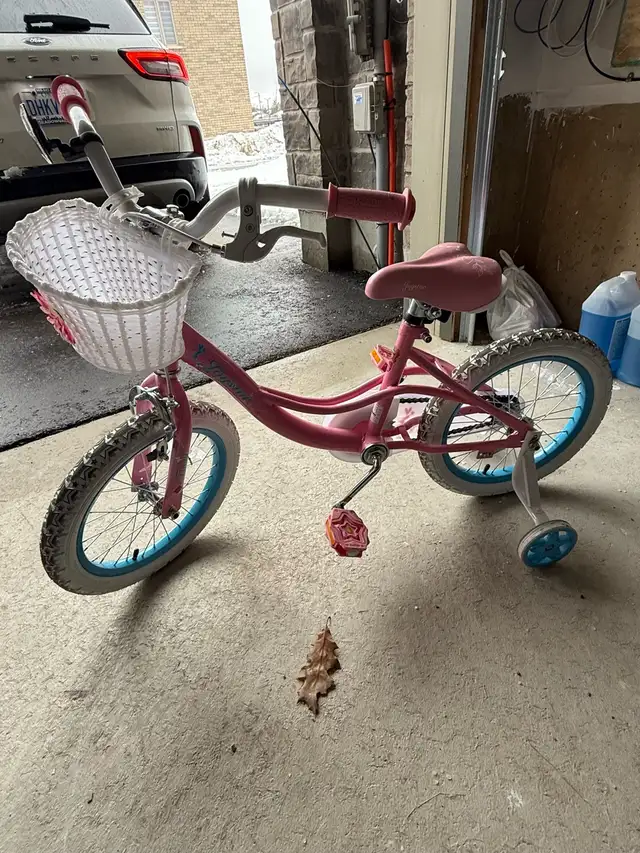 Giant 16 inch Bike in Kids in Oakville / Halton Region - Image 2