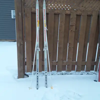 cross country ski SNS bindings with poles