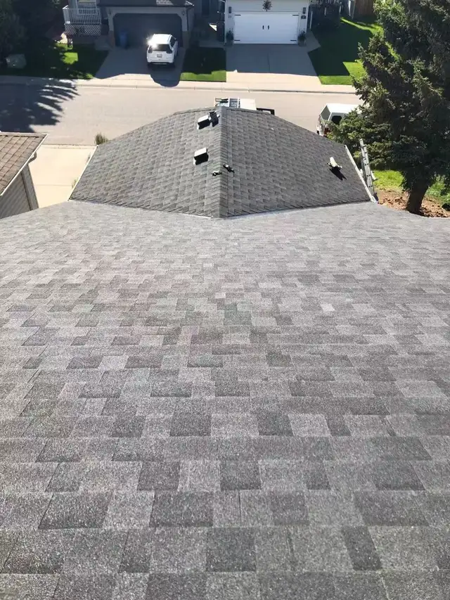 Roofing Contractor Roofing Experts