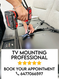 Tv mounting professional