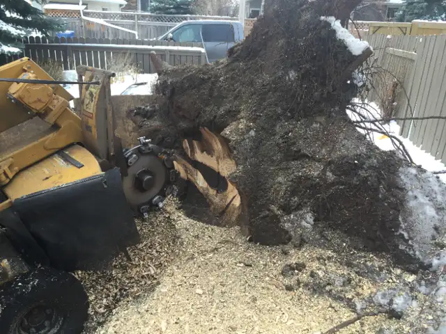 Stump Grinding Service for Calgary and Area62864357975810122