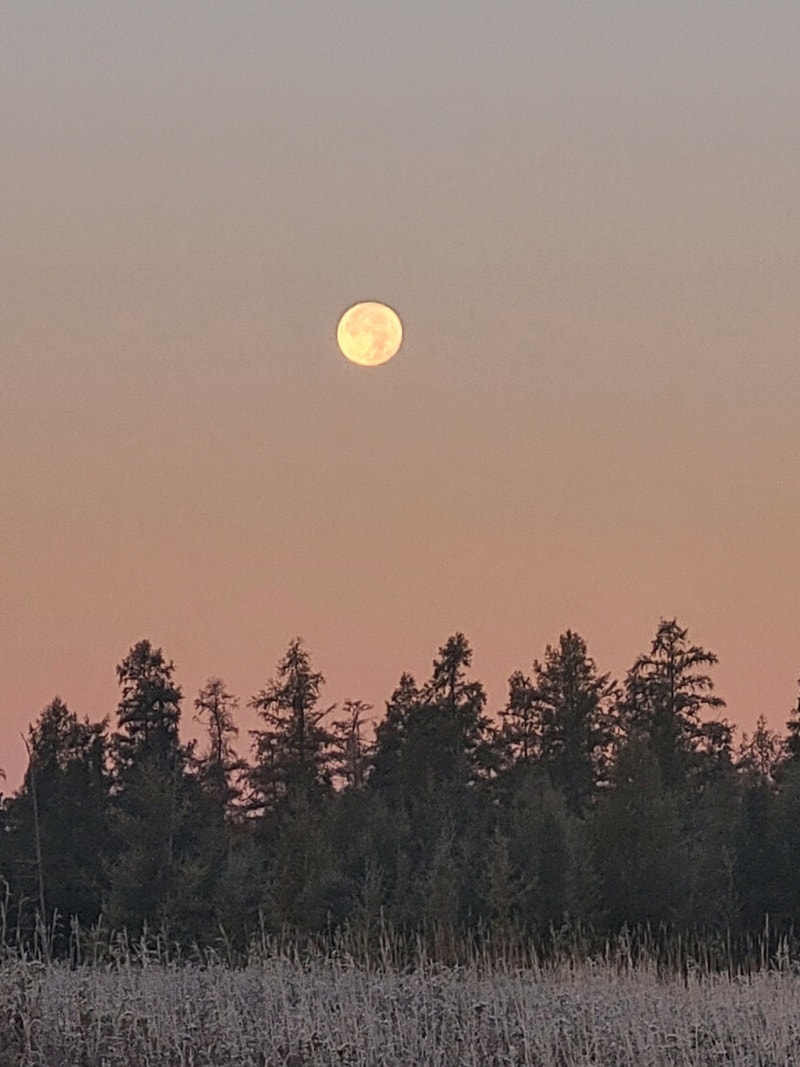 relax services Other Thunder Bay Kijiji