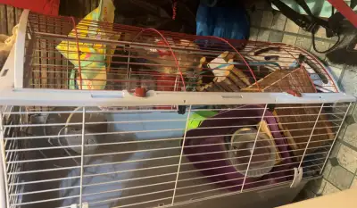 Cage à lapin, rongeur avec accessoires