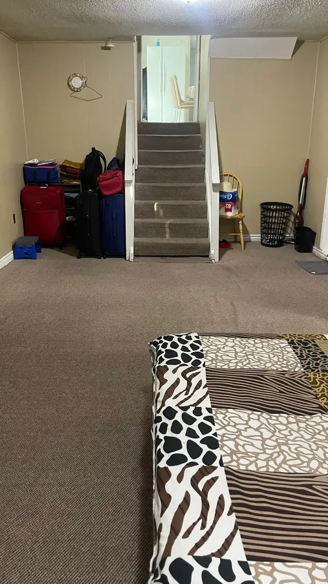 1+ Bed 1 Bath Walkout basement for rent near square one in Long Term Rentals in Mississauga / Peel Region - Image 6