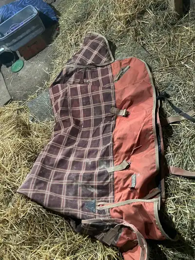 Fits a horse that’s 16h