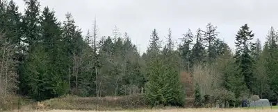 Details at deepcoveproperty.com