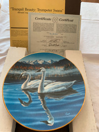 $3 "Tranquil Beauty: Trumpeter Swans" in Birds of the North
