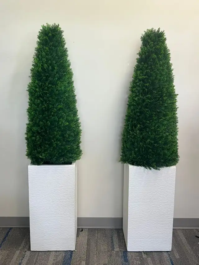 Lush Green Boxwood Trees: Durable & UV-Protected for Outdoor in Outdoor Décor in Mississauga / Peel Region - Image 8