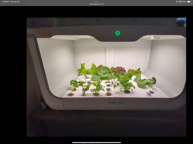 Vegehome The Oasis Smart Garden in Plants, Fertilizer & Soil in City of Montréal - Image 6
