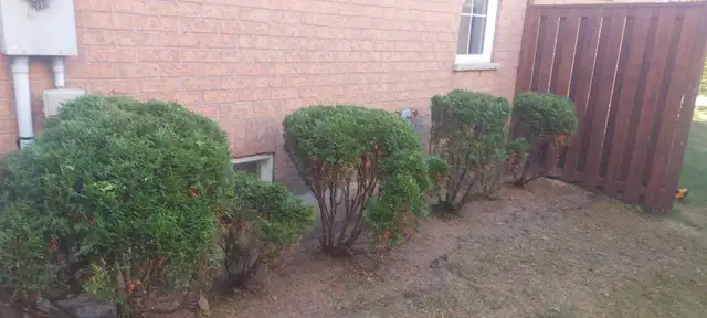 Vaughan Junk Removal in Snow Removal & Property Maintenance in Markham / York Region - Image 10