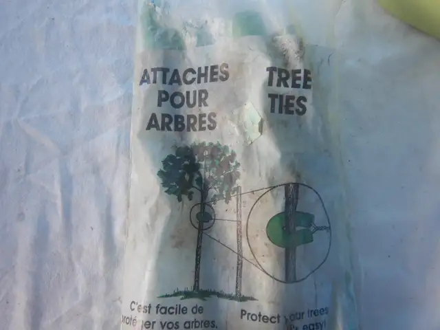 RUBBER TREE TIES476381969992263681