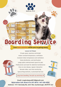 Professional cat boarding services!