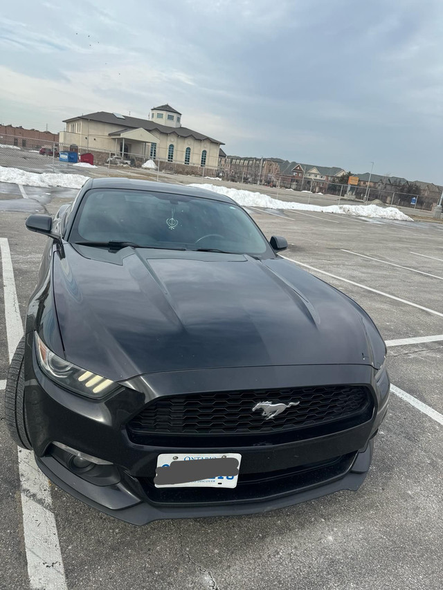 Mustang for sale in Cars & Trucks in Mississauga / Peel Region - Image 2