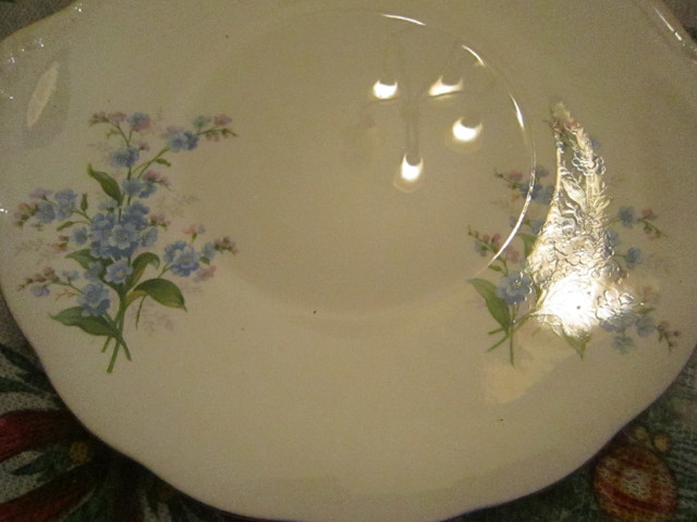 Royal Albert FORGET-ME-NOT fine bone china in Arts & Collectibles in Richmond - Image 2
