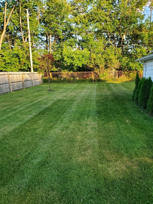 GRASS CUTTING $50 in Cleaners & Cleaning in Oshawa / Durham Region - Image 2