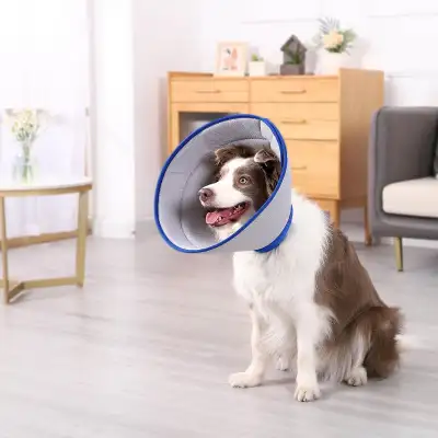 Extra Soft Dog Small Cone, View more