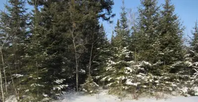 Description Beautiful lot on Birch beach in Shuniah, Ontario. Property is 15.34 acres. Overlooking C...