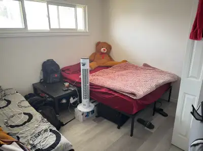 Room for rent in sharing