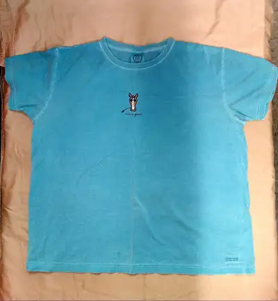 Life is Good HORSE Womens Tshirt Size XL Aqua Color Shirt, View more