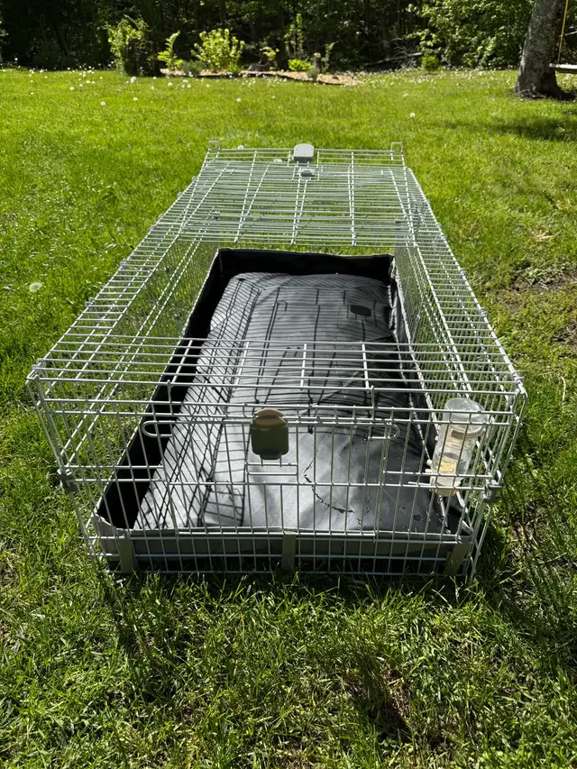 Guinea pig cage  in Accessories in Bedford - Image 4