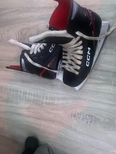 Négociable taille 6