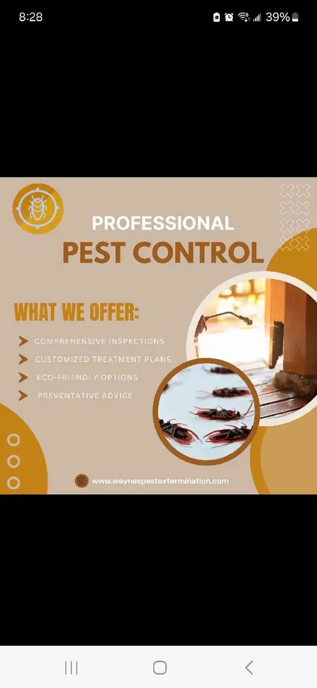 PROFESSIONAL, AFFORDABLE, PEST CONTROL62863726957699124
