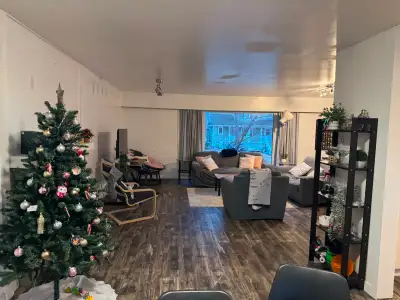 Beautiful and spacious fully renovated 3‑bedroom apartment available for rent in the heart of Downto...