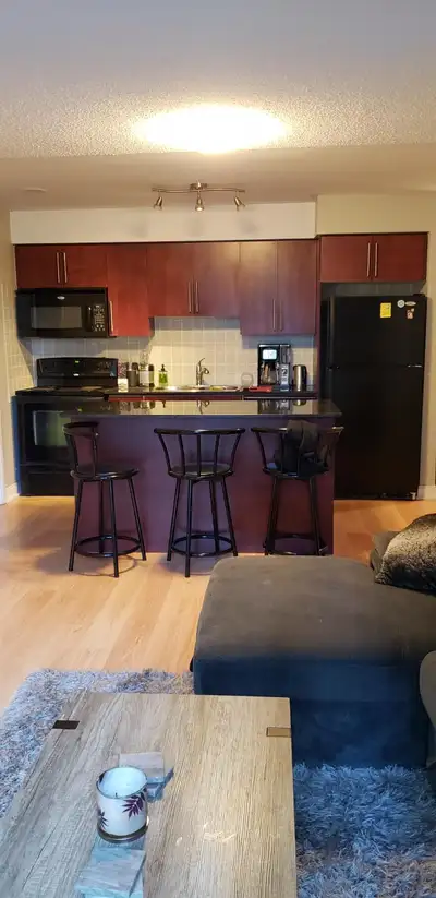 1 Bedroom Condo for Rent in Etobicoke (Steps from TTC)