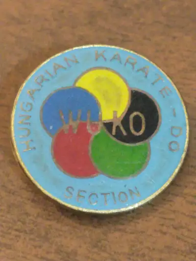 Colourful, circa 1970s Hungary karate pin, View more