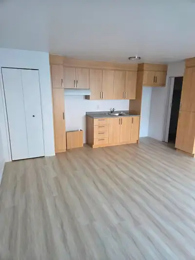 Beau 3 1/2 demi sous-sol d'un immeuble tranquille, offrant une excellente luminosité naturelle. Le l...