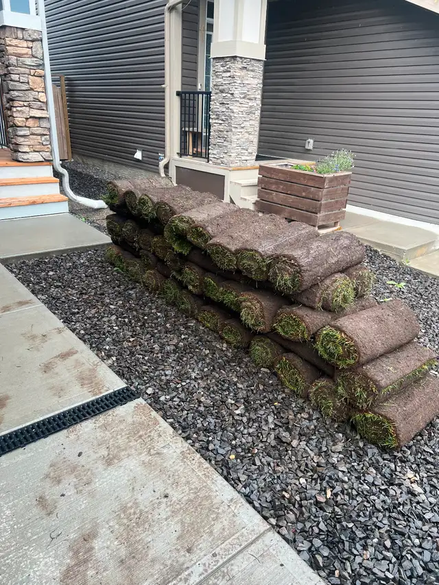 Lawn mowing 50 ,yard clean up, SOD installation, pressure wash63235196032641123