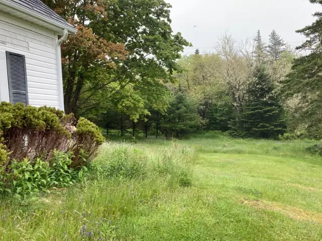Lawn Mowing62864356082177123