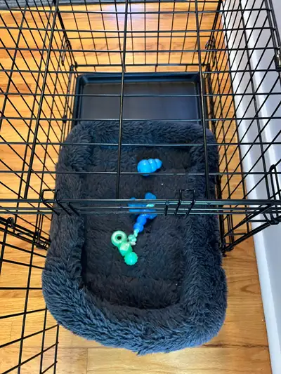 Dog Crate - Small, View more