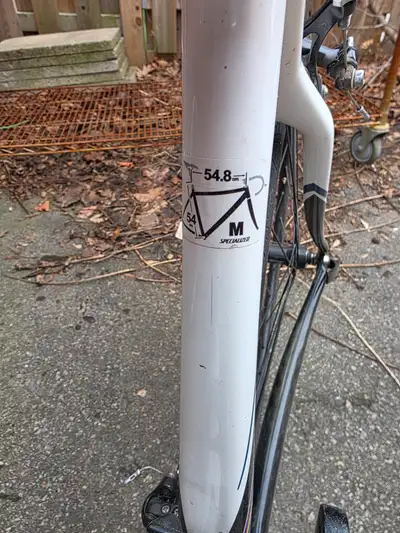 Specialized Carbon Mono Bike, View more