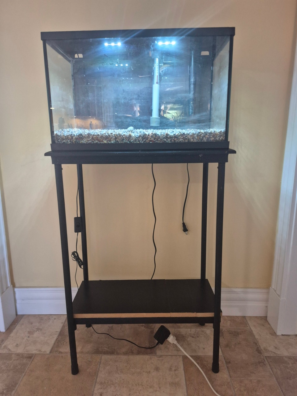 Aquarium | Fish for Rehoming | Annapolis Valley | Free local ...