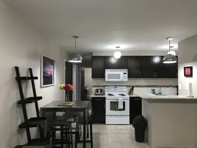 2 BEDROOM BASEMENT SUITE with PAVED PARKING !! ( FULLY FURNISHED) This cozy place is located in Mild...