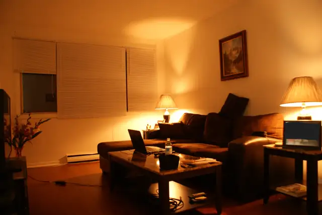 Photo 4